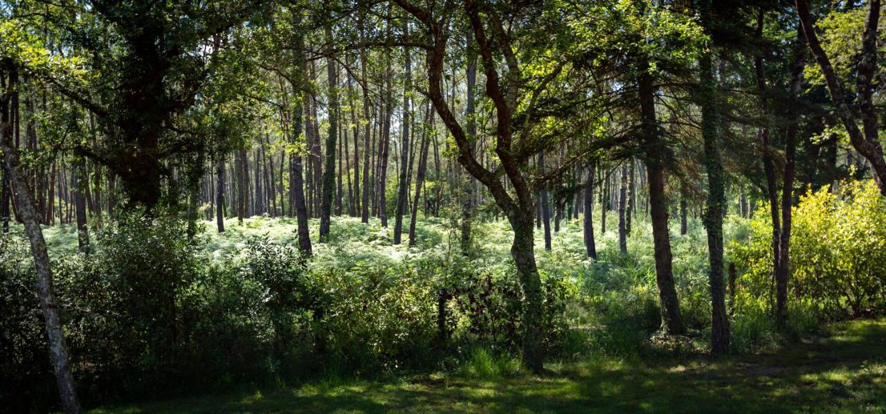 Camping L'Etang D'Ardy *** Сент-Пол-ле-Дакс Экстерьер фото
