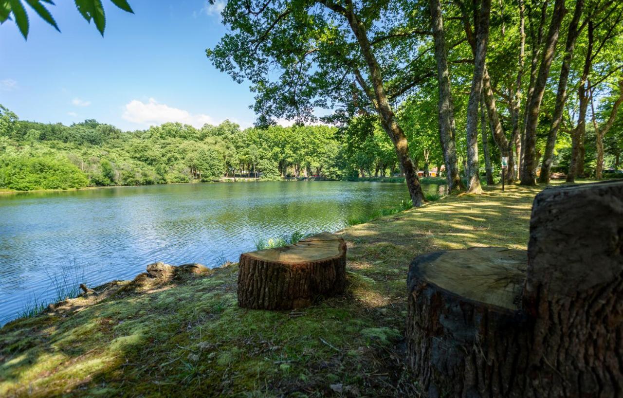Camping L'Etang D'Ardy *** Сент-Пол-ле-Дакс Экстерьер фото