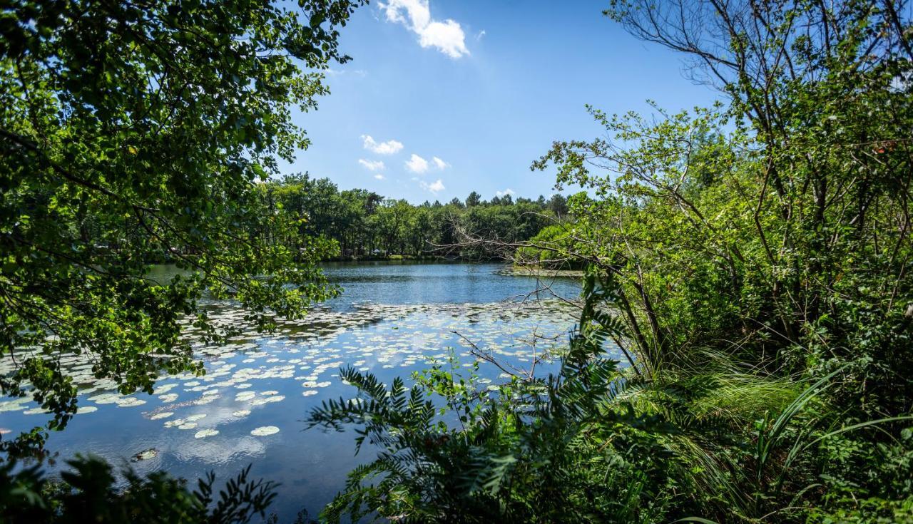 Camping L'Etang D'Ardy *** Сент-Пол-ле-Дакс Экстерьер фото